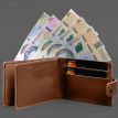 Кожаная обложка-портмоне для картонного удостоверения УБД (светло-коричневая)