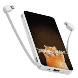 Повербанк (powerbank) Ziz "Котофей" 10000 mAh