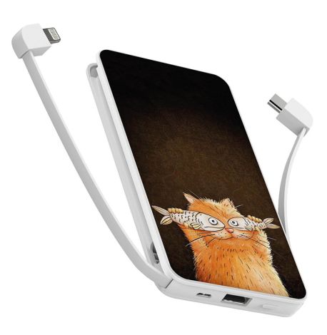 Повербанк (powerbank) Ziz "Котофей" 10000 mAh