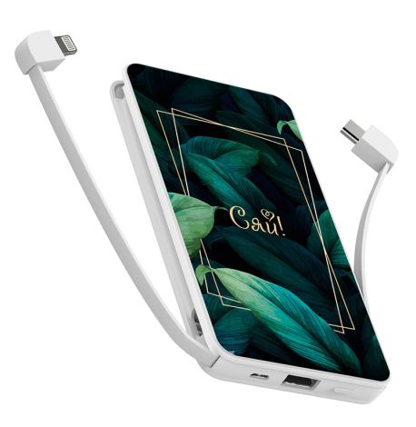 Повербанк (powerbank) Ziz "Сяй" 10000 mAh