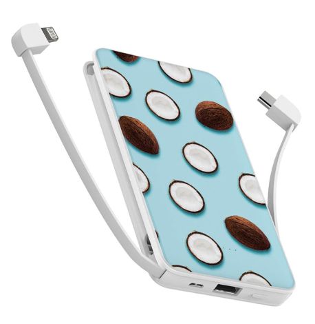 Повербанк (powerbank) Ziz "Кокос" 10000 mAh