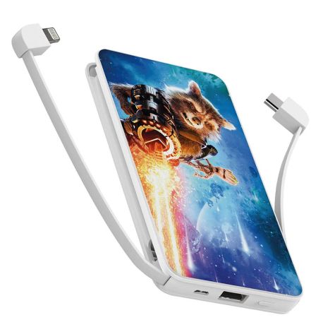 Повербанк (powerbank) Ziz "Енот ракета" 10000 mAh