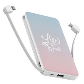 Повербанк (powerbank) Ziz "Безтурботність" 10000 mAh