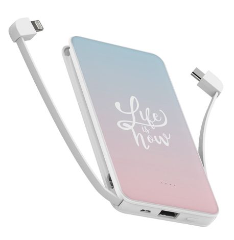 Повербанк (powerbank) Ziz "Безмятежность" 10000 mAh