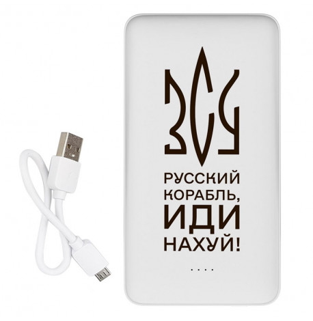 Повербанк (powerbank) Ziz "ЗСУ" 10000 mAh