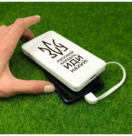 Повербанк (powerbank) Ziz "ЗСУ" 10000 mAh