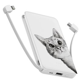 Повербанк (powerbank) Ziz "Ей, Кіт" 10000 mAh