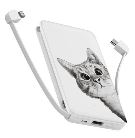 Повербанк (powerbank) Ziz "Эй, кот" 10000 mAh