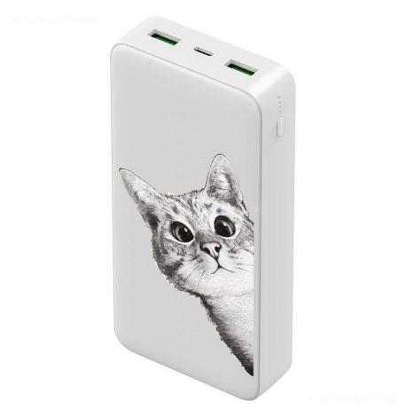 Повербанк (powerbank) Ziz «Ей, кіт» 20000 mAh