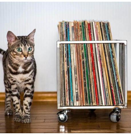 Дворядний контейнер для зберігання вінілових платівок