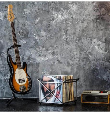 Контейнер з ручками для зберігання вінілових платівок