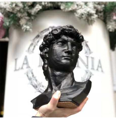 Скульптура вазон-органайзер "Давид" (чорний)