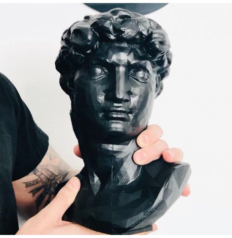 Скульптура вазон-органайзер "Давид" (чорний)