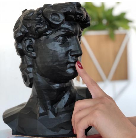 Скульптура вазон-органайзер "Давид" (чорний)