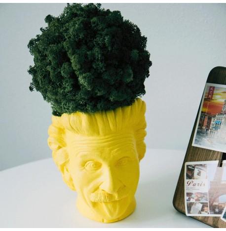 Скульптура вазон-органайзер "Ейнштейн" (жовтий)