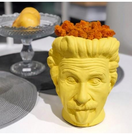 Скульптура вазон-органайзер "Ейнштейн" (жовтий)