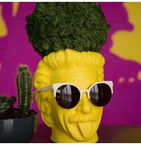 Скульптура вазон-органайзер "Ейнштейн" (жовтий)