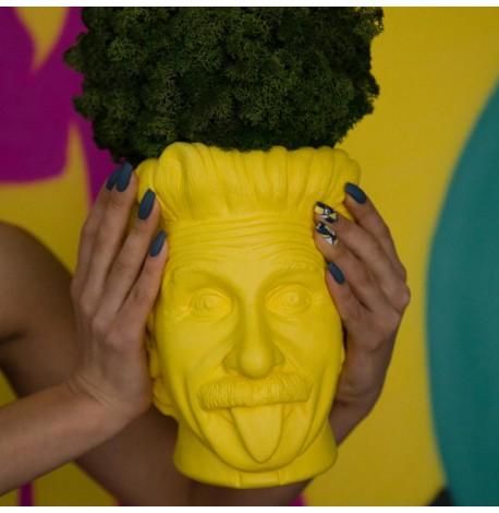 Скульптура вазон-органайзер "Ейнштейн" (жовтий)