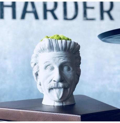 Скульптура вазон-органайзер "Ейнштейн" (білий)