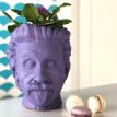 Скульптура вазон-органайзер "Эйнштейн" (фиолетовый)