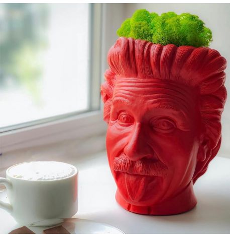 Скульптура вазон-органайзер "Эйнштейн" (красный)