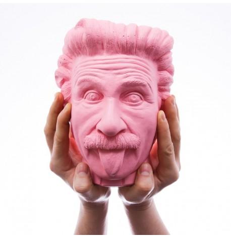 Скульптура вазон-органайзер "Ейнштейн" (рожевий)