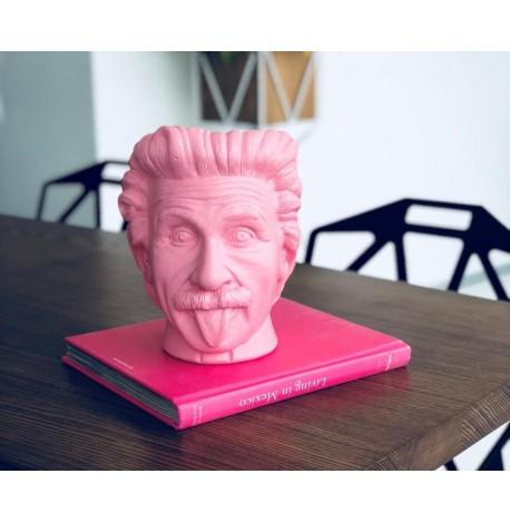 Скульптура вазон-органайзер "Ейнштейн" (рожевий)