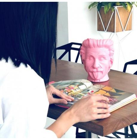 Скульптура вазон-органайзер "Ейнштейн" (рожевий)