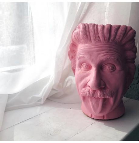 Скульптура вазон-органайзер "Ейнштейн" (рожевий)