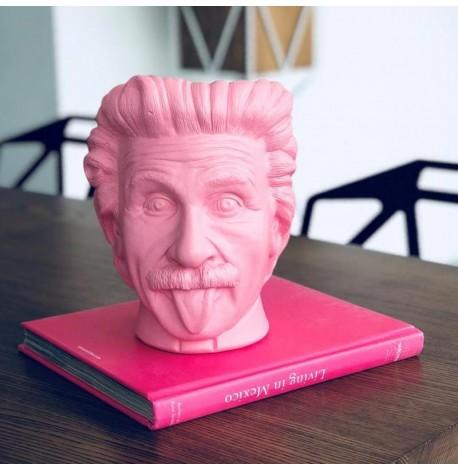 Скульптура вазон-органайзер "Ейнштейн" (рожевий)