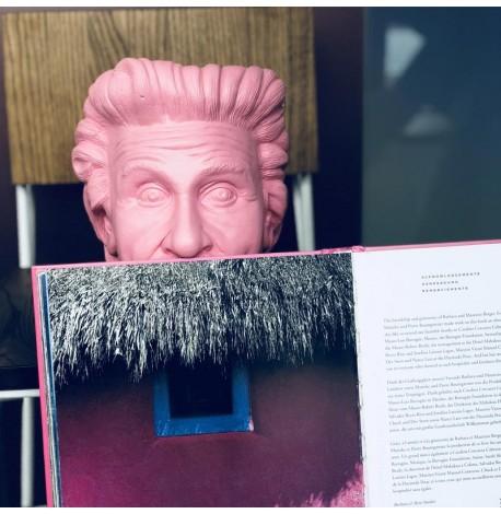 Скульптура вазон-органайзер "Ейнштейн" (рожевий)