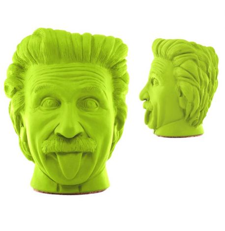 Скульптура вазон-органайзер "Эйнштейн" (салатовый)