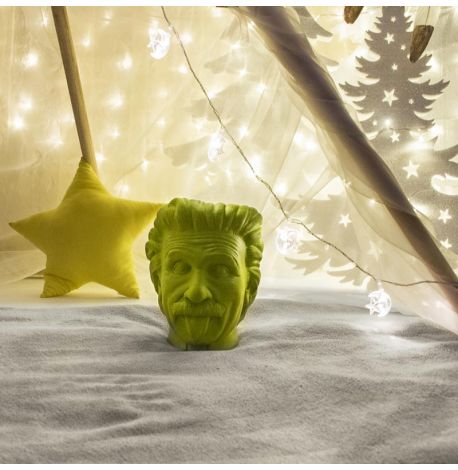 Скульптура вазон-органайзер "Эйнштейн" (салатовый)