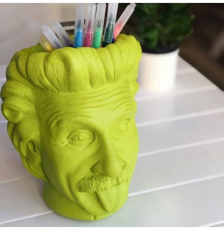 Скульптура вазон-органайзер "Эйнштейн" (салатовый)