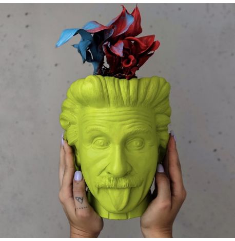 Скульптура вазон-органайзер "Эйнштейн" (салатовый)