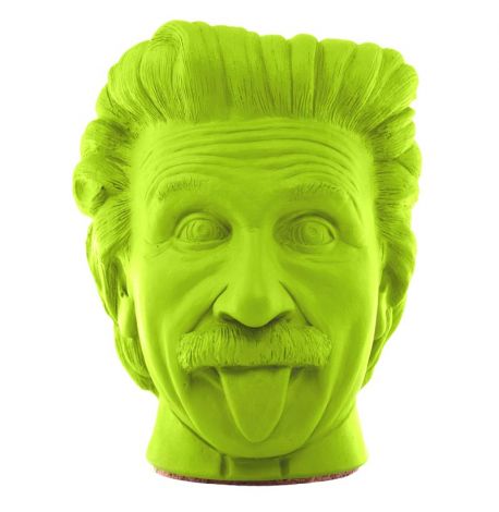 Скульптура вазон-органайзер "Эйнштейн" (салатовый)