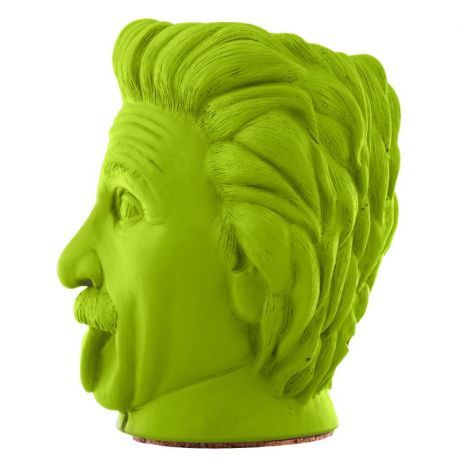 Скульптура вазон-органайзер "Эйнштейн" (салатовый)
