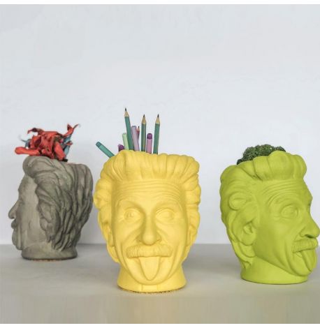 Скульптура вазон-органайзер "Эйнштейн" (салатовый)