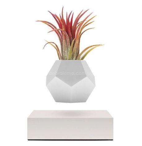 Левітуючий вазон-капшо Flyte Lyfe