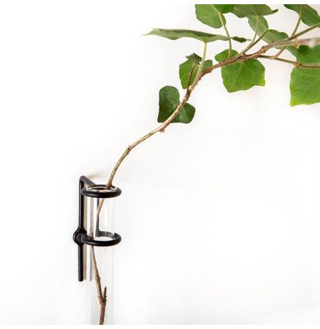 Настенная ваза Plant