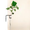 Настенная ваза Plant