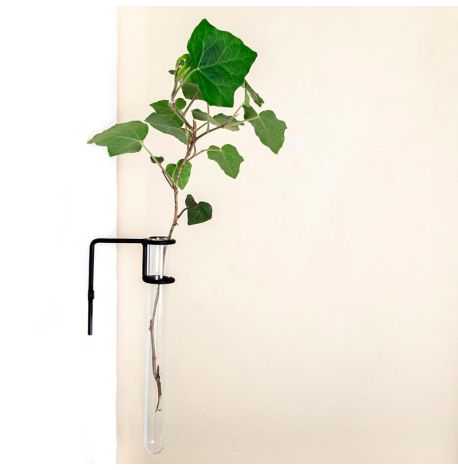 Настенная ваза Plant