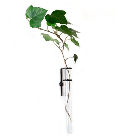 Настенная ваза Plant