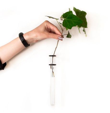 Настенная ваза Plant