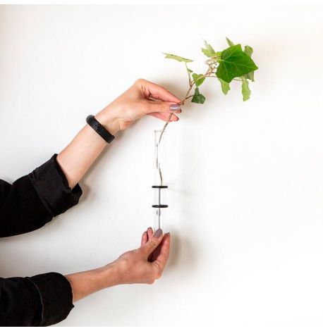 Настенная ваза Plant