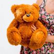 Плюшевий ведмедик «Гриша» 50 см (коричневий)