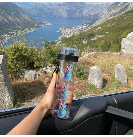 Бутылка для воды ZIZ «Ананас» (700 мл)