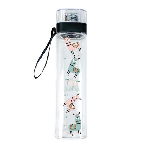 Бутылка для воды ZIZ «Не проблама» (700 мл)