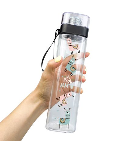 Бутылка для воды ZIZ «Не проблама» (700 мл)