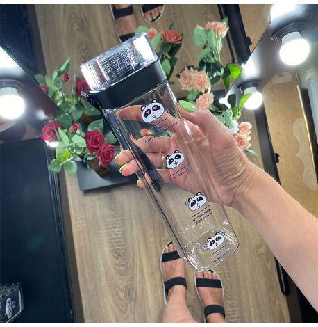 Бутылка для воды ZIZ «Панда» (700 мл)